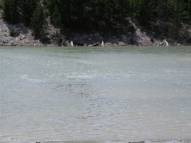 images/D-Sour Lake at Mud Volcano (1).jpg